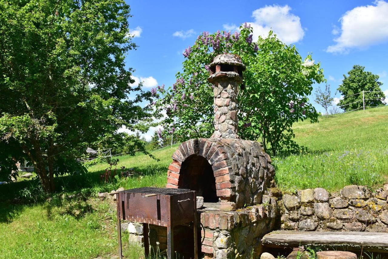 Sunny Beaver B&B トラカイ エクステリア 写真