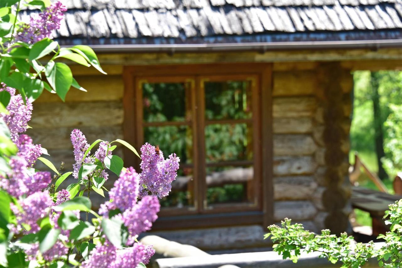 Sunny Beaver B&B トラカイ エクステリア 写真